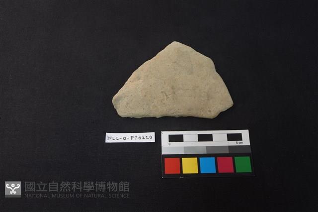 陶片藏品圖，第1張