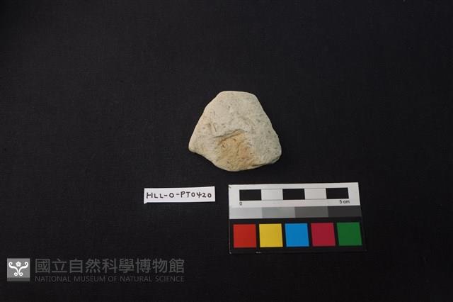 陶片藏品圖，第1張