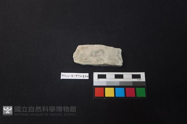 陶片藏品圖，第1張