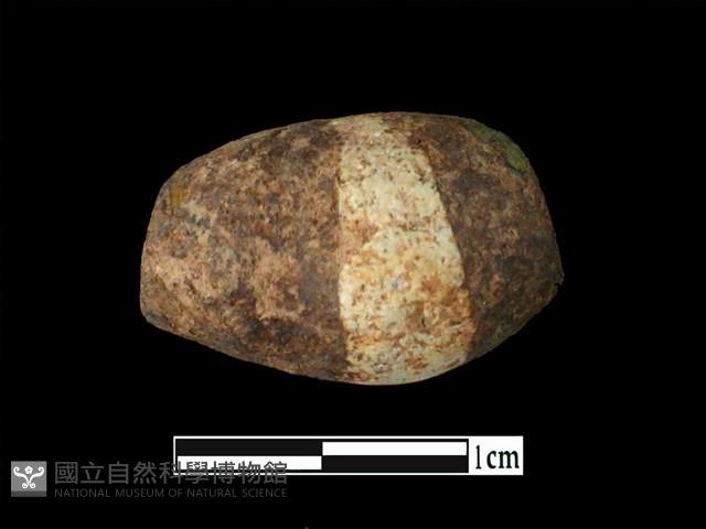 玻璃珠藏品圖，第1張