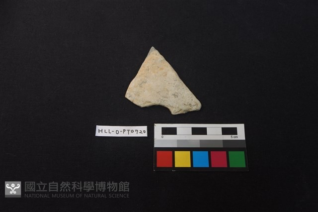 陶片藏品圖，第1張