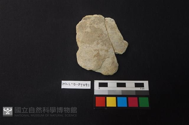 陶片藏品圖，第1張