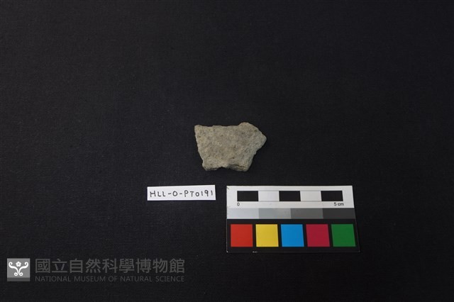 陶片藏品圖，第1張
