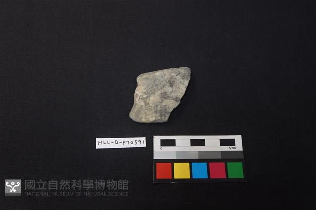 陶片藏品圖，第1張