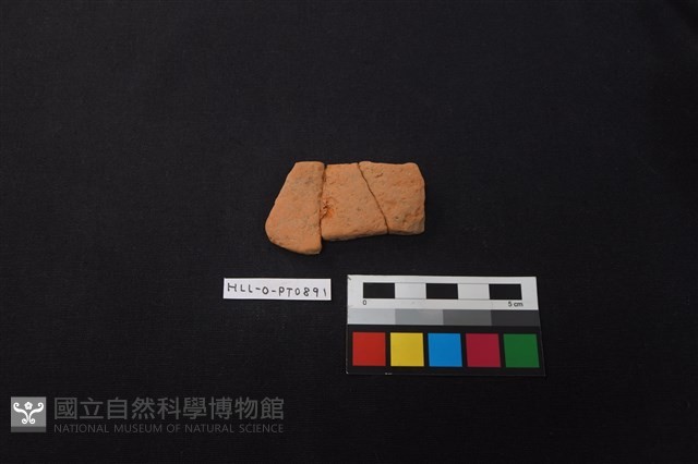 陶片藏品圖，第1張