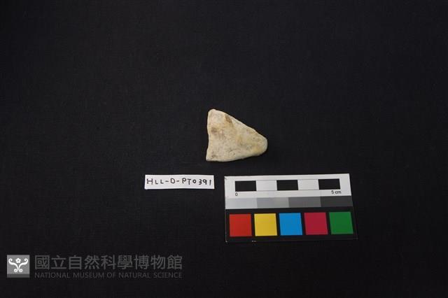 陶片藏品圖，第1張