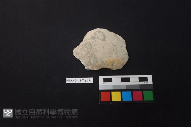 陶片藏品圖，第1張