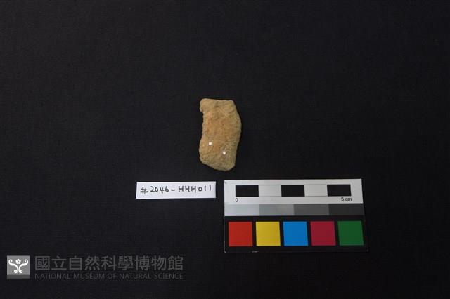 陶片藏品圖，第1張