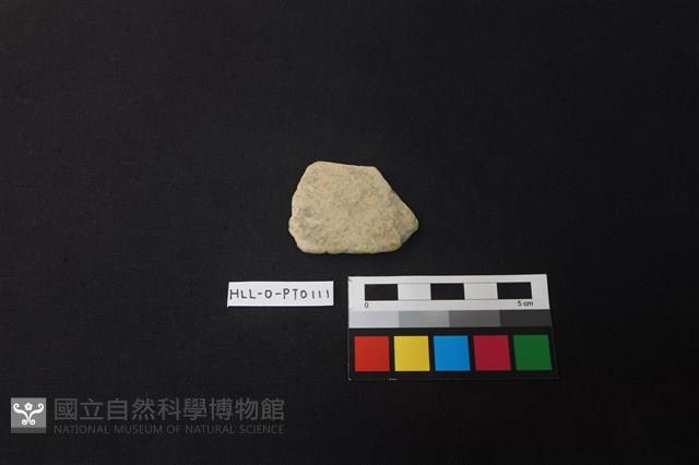 陶片藏品圖，第1張