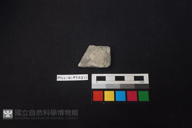 陶片藏品圖，第1張