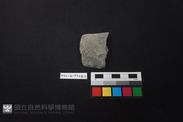 陶片藏品圖，第1張