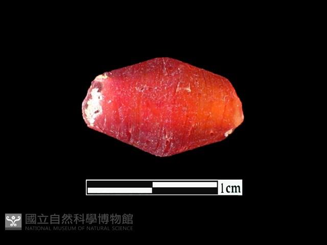 玻璃珠藏品圖，第1張