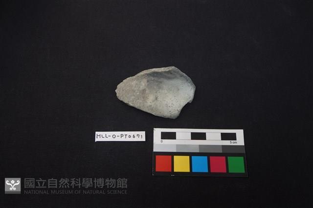 陶片藏品圖，第1張