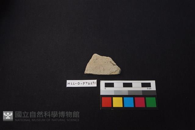 陶片藏品圖，第1張