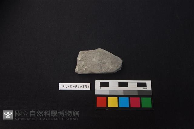 陶片藏品圖，第1張