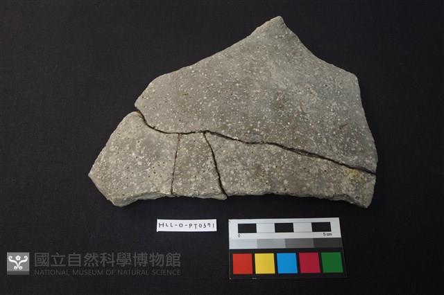 陶片藏品圖，第1張