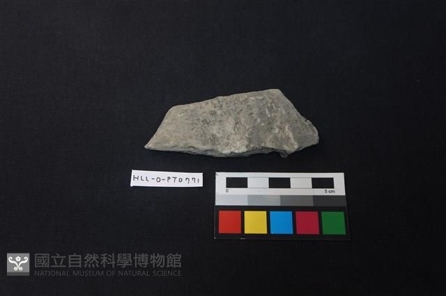 陶片藏品圖，第1張