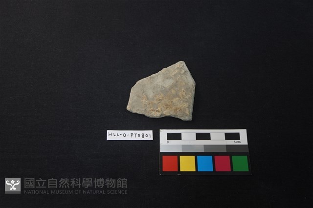 陶片藏品圖，第1張