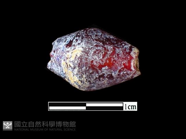 玻璃珠藏品圖，第1張