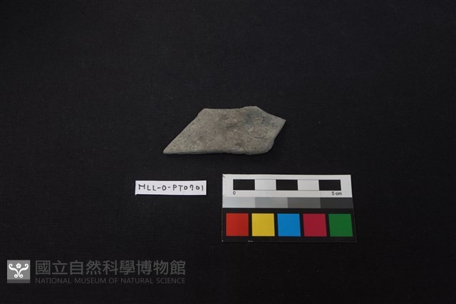 陶片藏品圖，第1張