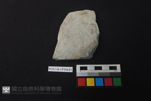 陶片藏品圖，第1張