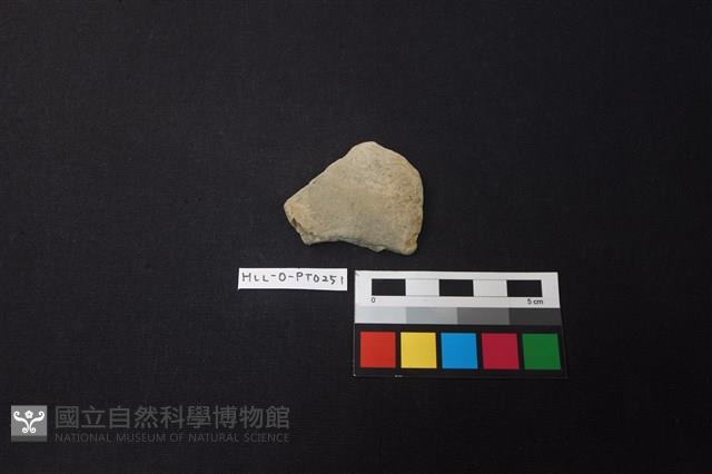 陶片藏品圖，第1張