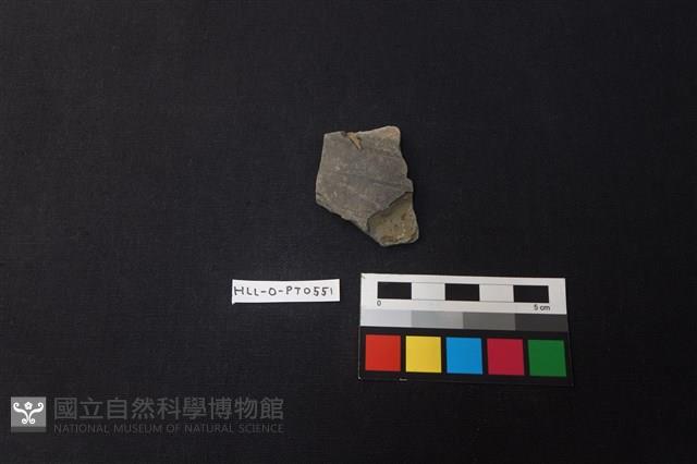 陶片藏品圖，第1張