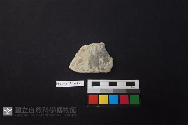 陶片藏品圖，第1張