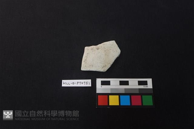 陶片藏品圖，第1張