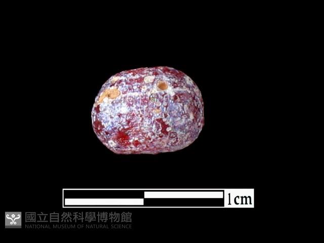 玻璃珠藏品圖，第1張