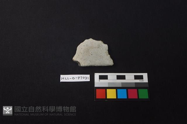 陶片藏品圖，第1張