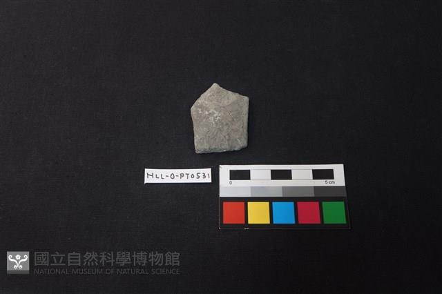 陶片藏品圖，第1張