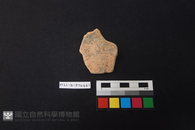 陶片藏品圖，第1張