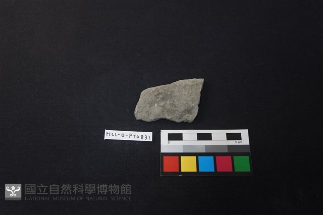 陶片藏品圖，第1張