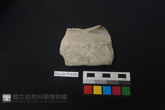 陶片藏品圖，第1張