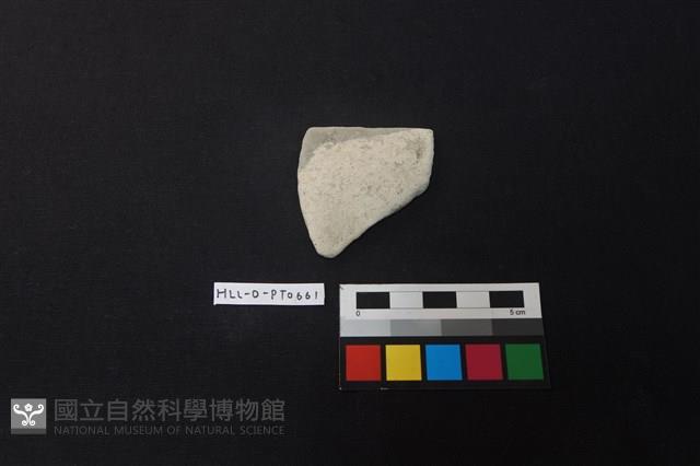 陶片藏品圖，第1張