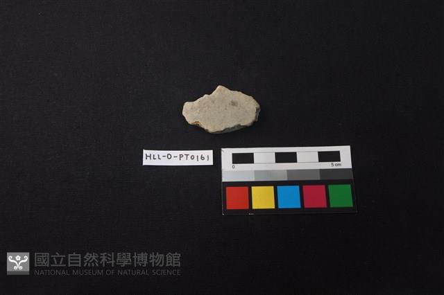 陶片藏品圖，第1張