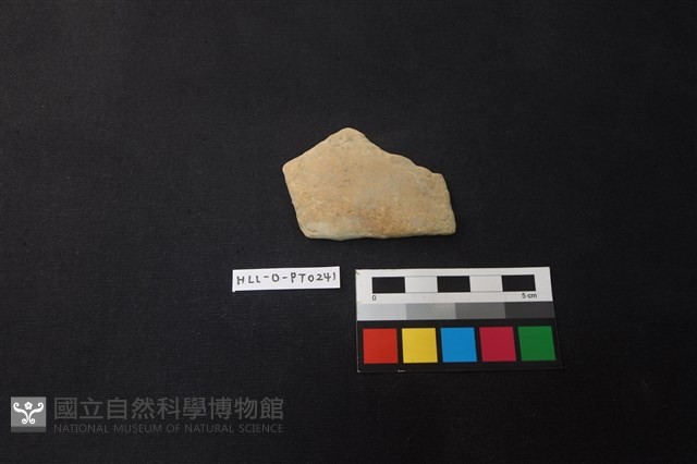 陶片藏品圖，第1張