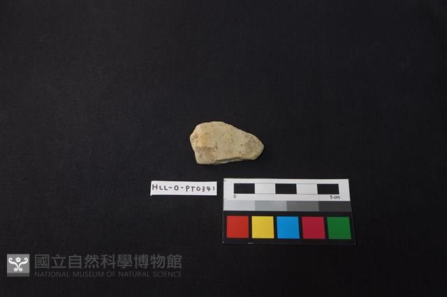 陶片藏品圖，第1張