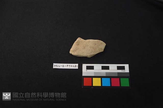 陶片藏品圖，第1張