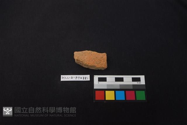 陶片藏品圖，第1張