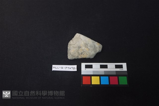陶片藏品圖，第1張