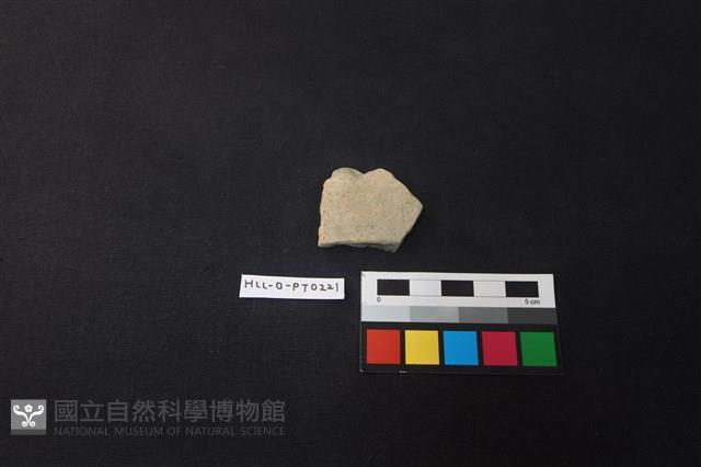 陶片藏品圖，第1張