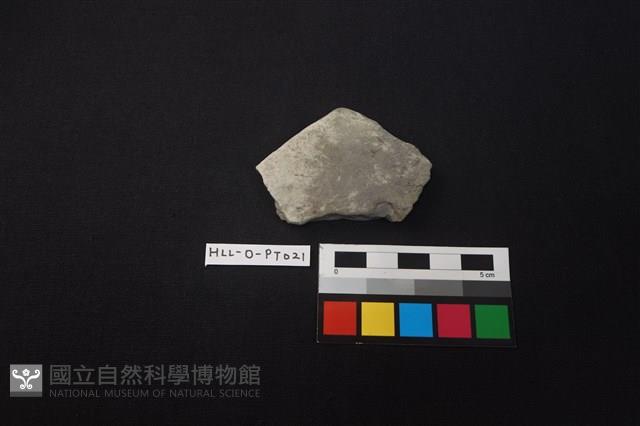 陶片藏品圖，第1張