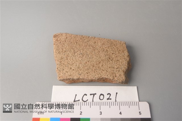 陶片藏品圖，第1張