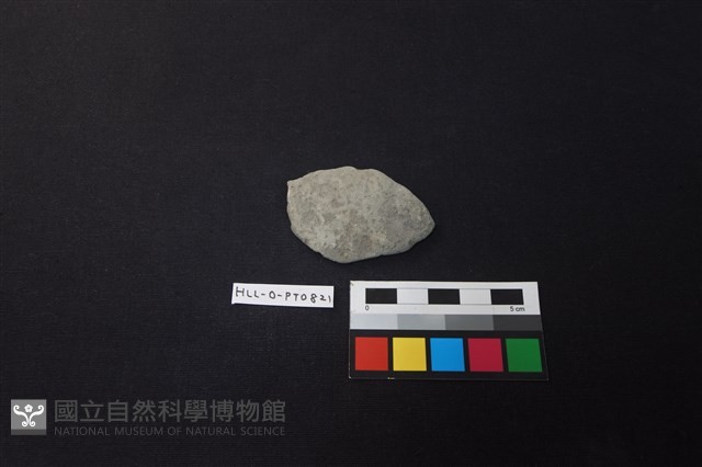 陶片藏品圖，第1張