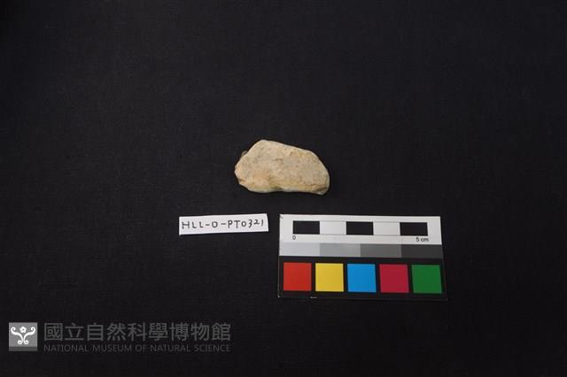 陶片藏品圖，第1張