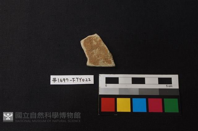 陶片藏品圖，第1張