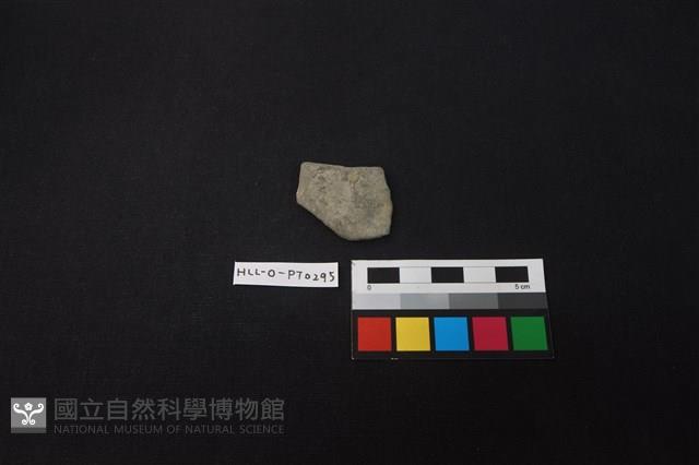 陶片藏品圖，第1張