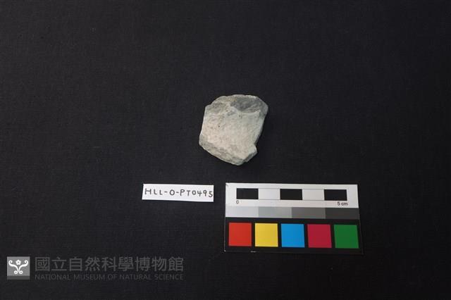 陶片藏品圖，第1張